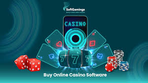 The particular Rise connected with On the net Casinos: Some sort of Electronic Playing Innovation
